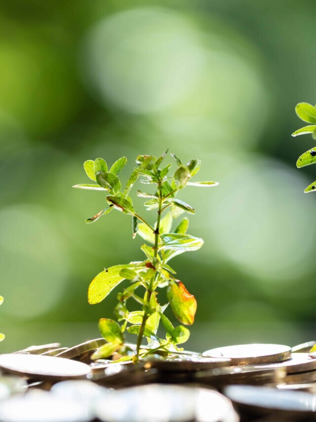 What is Socially Responsible Investing? Story