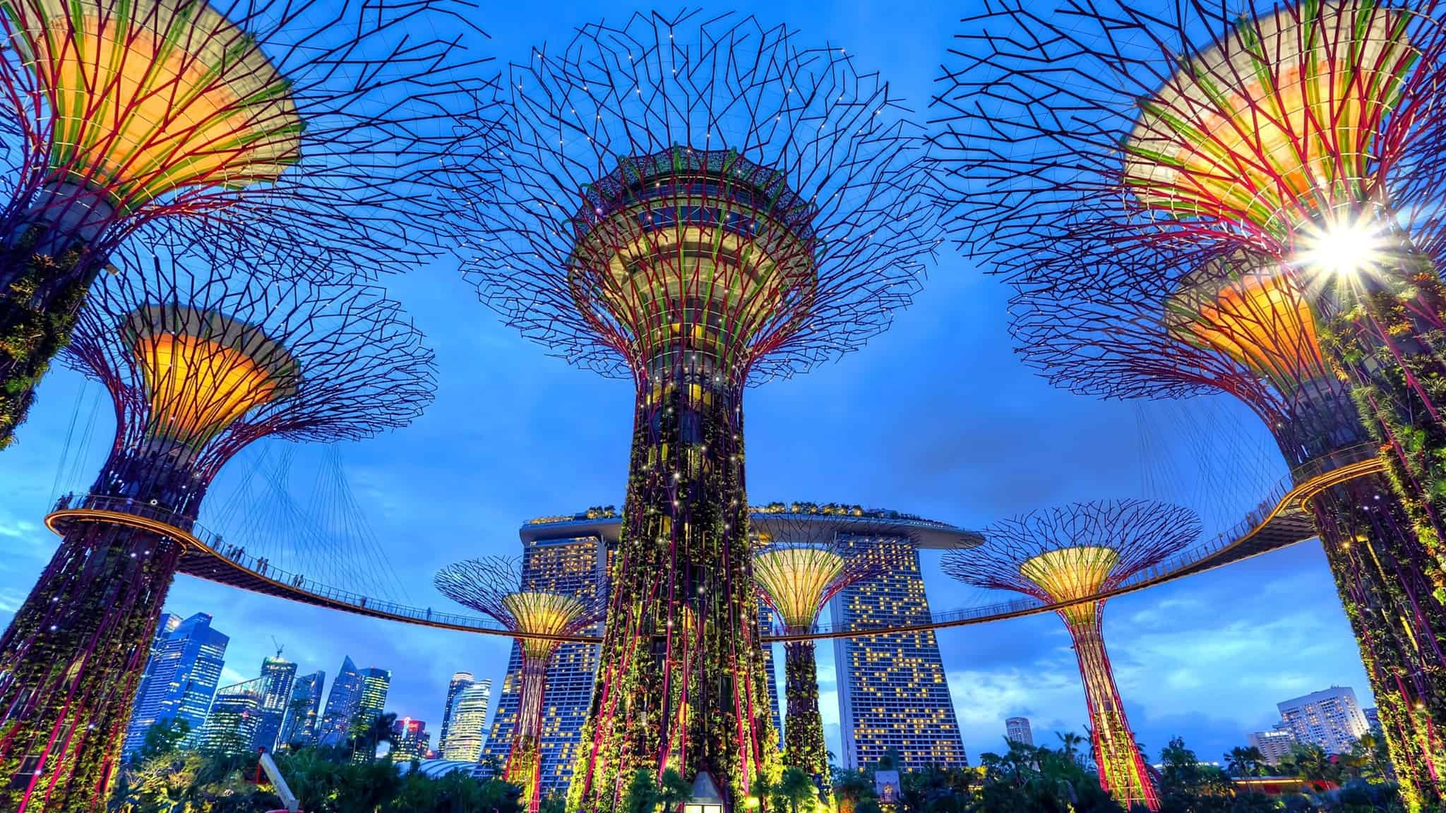 Twilight descends on the futuristic gardens by the bay in singapore, where the iconic supertree structures are aglow with vibrant lights, showcasing a fusion of nature and technology.