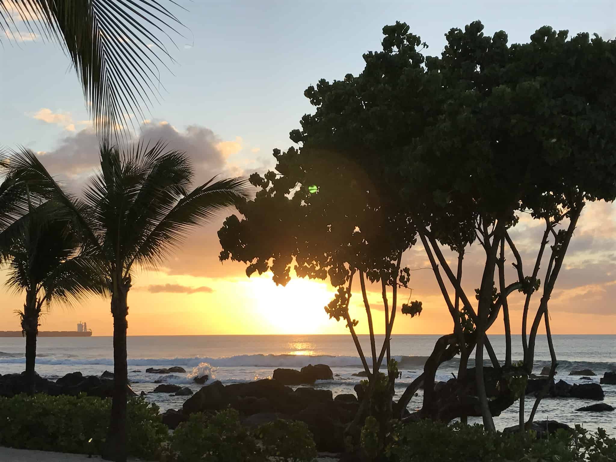 A serene sunset at a beach, with the sun casting a warm glow over the sea, silhouetted by palm trees and tropical foliage on the shore.