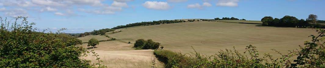 A panoramic view of a tranquil countryside landscape with rolling hills, open fields, and a clear blue sky.