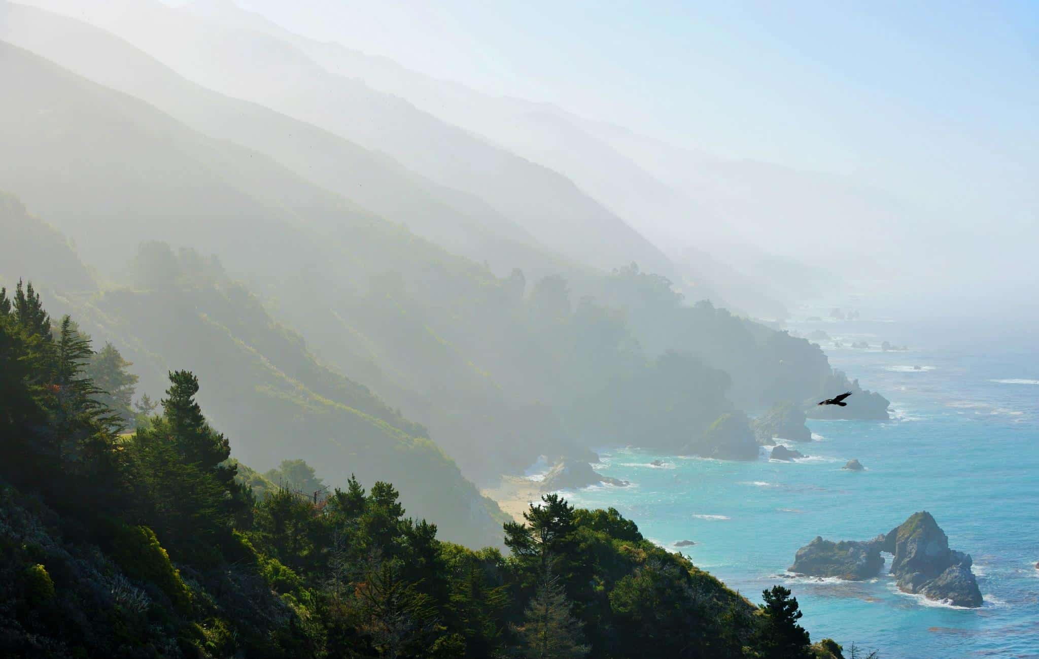 A serene view of a misty coastline with layers of rugged cliffs descending into a tranquil sea, as a bird soars over the picturesque landscape.