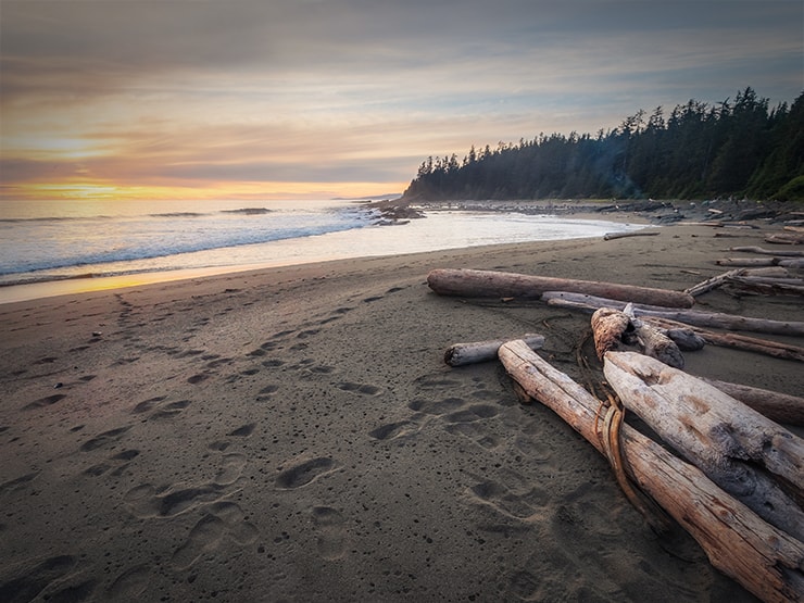 Sunset hues bathe a serene beach strewn with driftwood, as footprints etch a story in the sand, whispering tales of the day's end at a tranquil coastal haven.