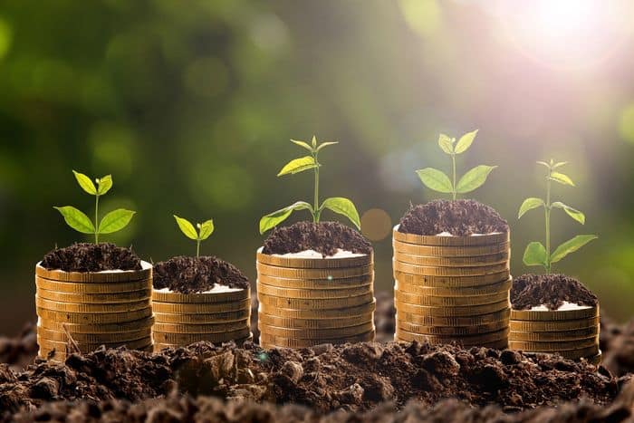 Growing plants sprouting from ascending stacks of coins against a bright, natural backdrop, symbolizing financial growth and investment.