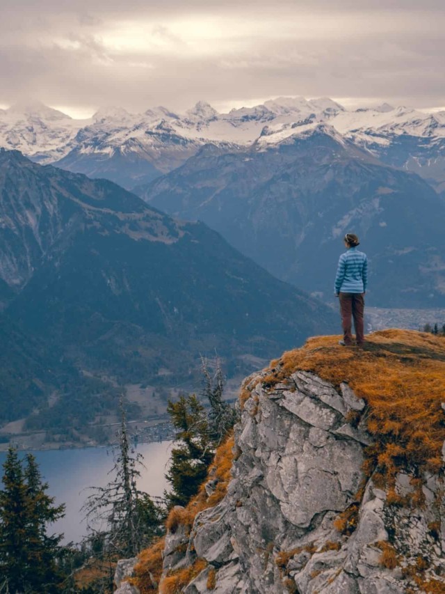 Your Money or Your Life: Key Takeaways and Lessons Learned Story
