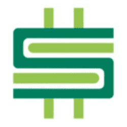 Logo of Savvy Ladies