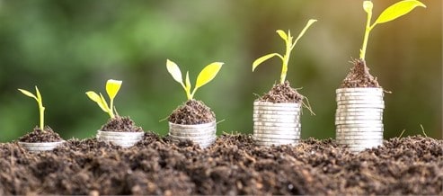 Four stacks of coins with young plants sprouting from the top, symbolizing financial growth or investment.