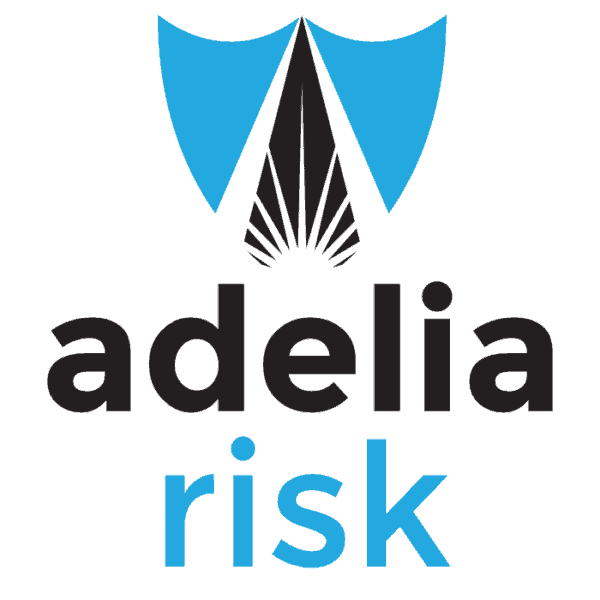 Logo of Adelia Risk Cybersecurity