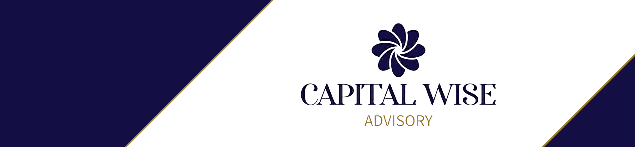 Logo of Capital Wise Advisory. The design includes a dark blue flower-shaped emblem above the company name in dark blue, with 