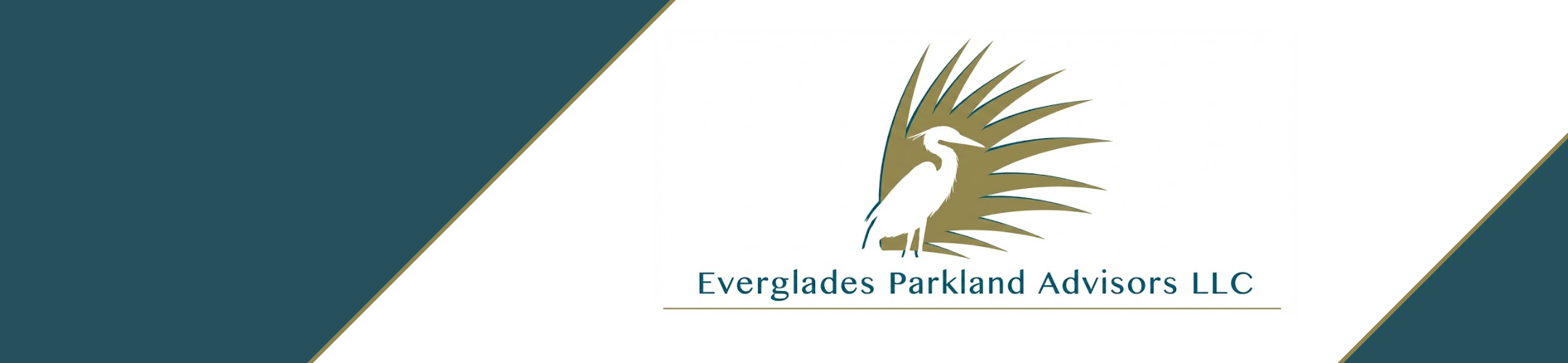 Logo of Everglades Parkland Advisors LLC featuring a white bird, likely a heron, standing in front of stylized palm fronds, with the company name below; teal and white diagonal color blocks border the image.