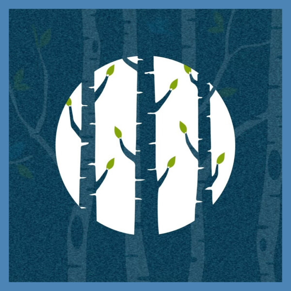Logo of Birch Financial Group