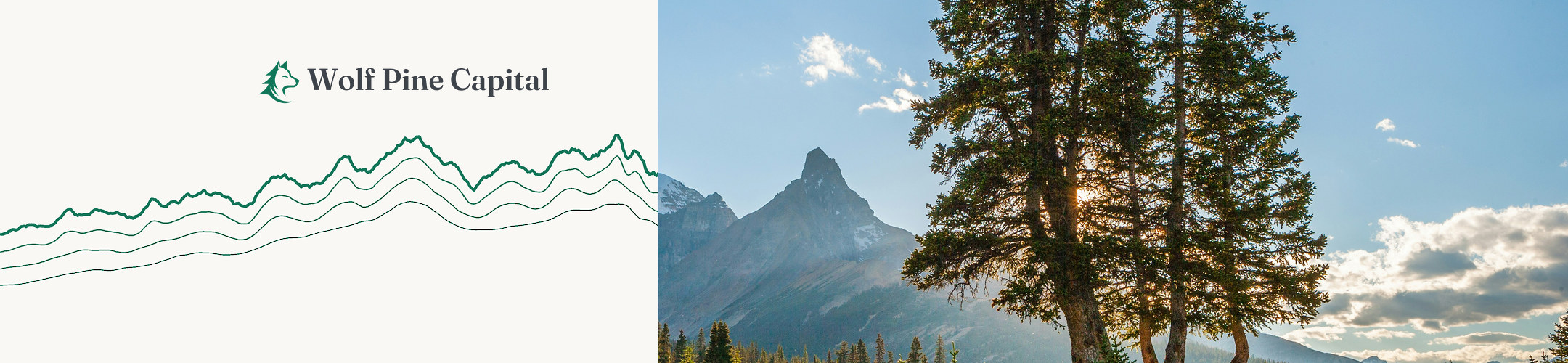 Wolf Pine Capital logo above a series of overlapping mountain-shaped line graphs, next to a sunlit pine tree and a mountain peak under a blue sky.